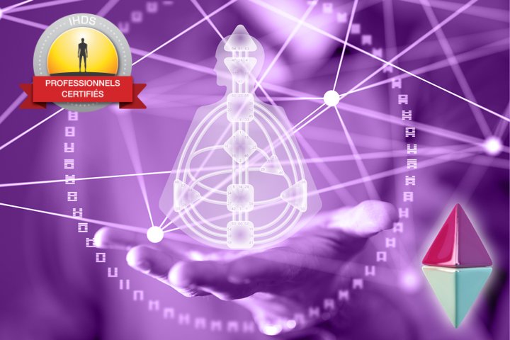 Programme de formation professionnelle d'analyste niveau 2-1